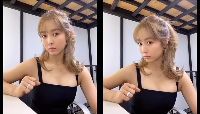 바비헤어 이미지