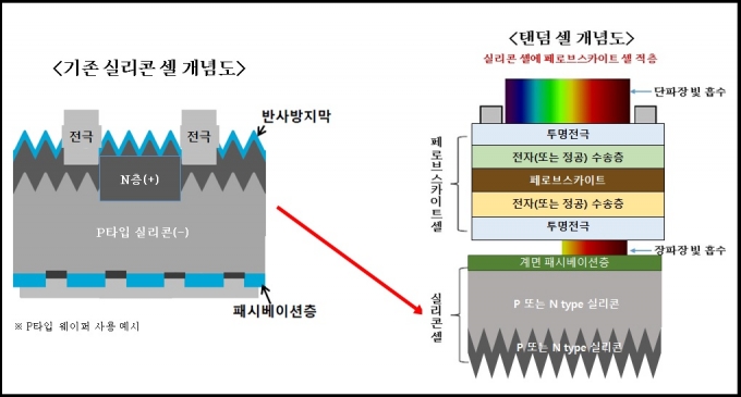 셀루 이미지