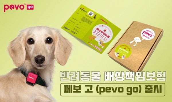 케어스 이미지