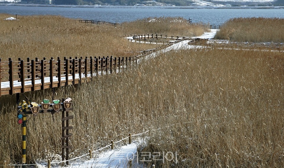 서천IC 이미지