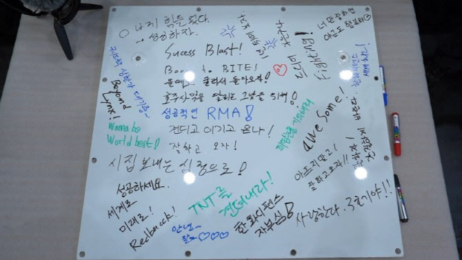 레드백 이미지