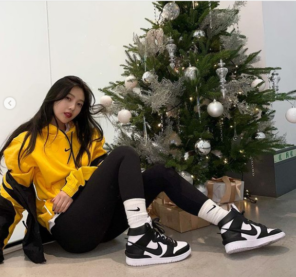 조이트리 이미지