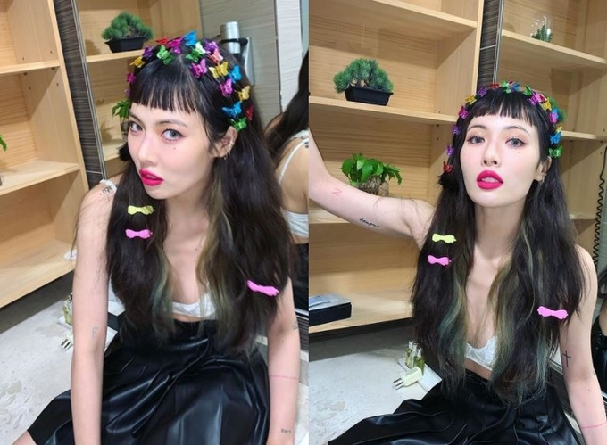 머리향기 이미지