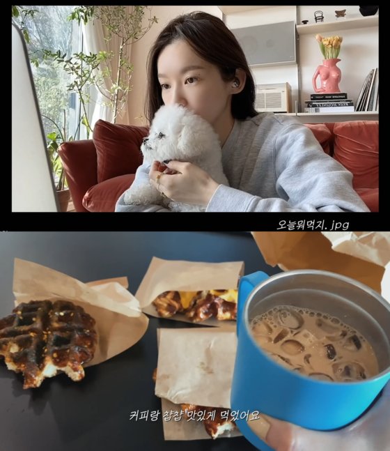 크로플로 이미지