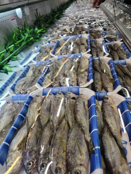 연안수산마켓 이미지