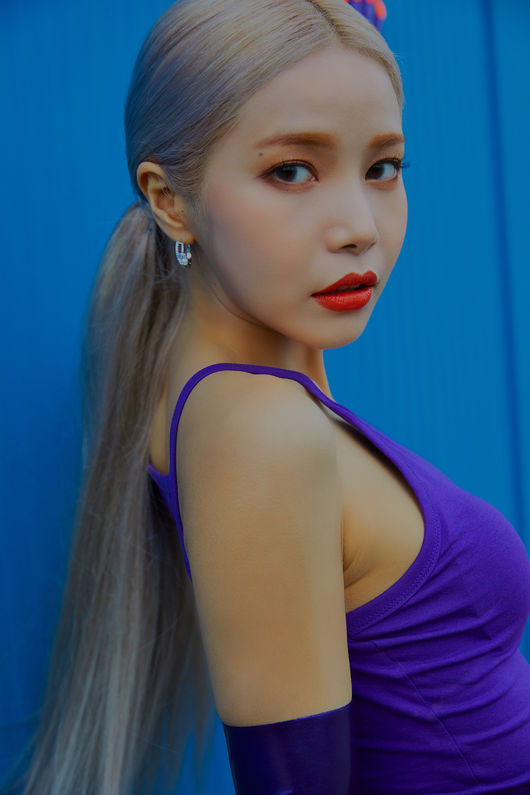 솔라플렉스 이미지