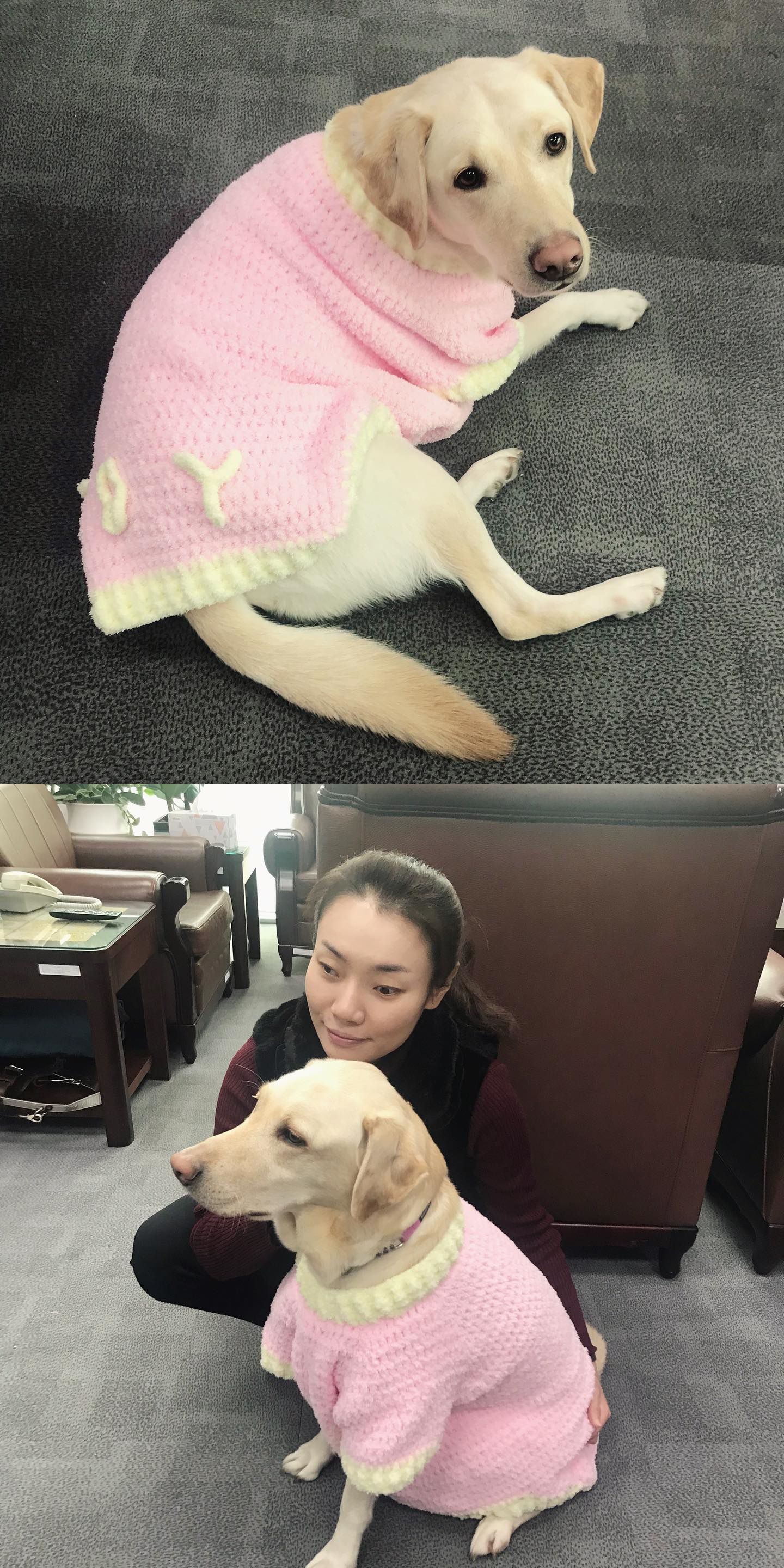 조이마트 이미지