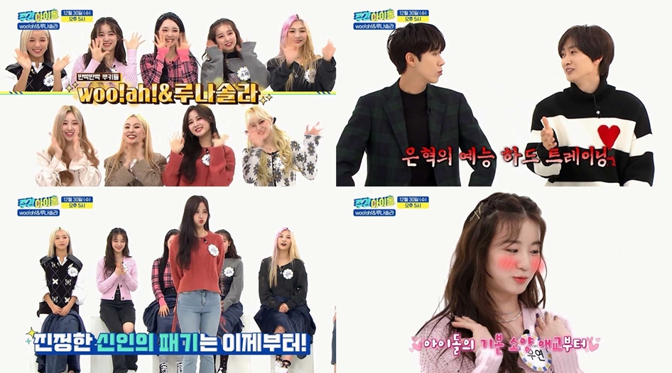 루나솔라 이미지
