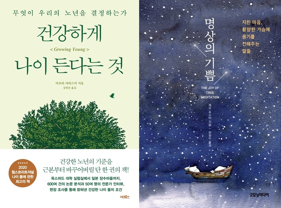 나이스카 이미지