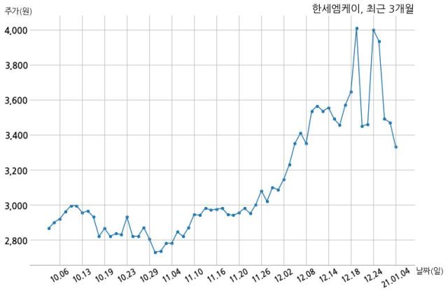 한세엠케이 주식회사 이미지
