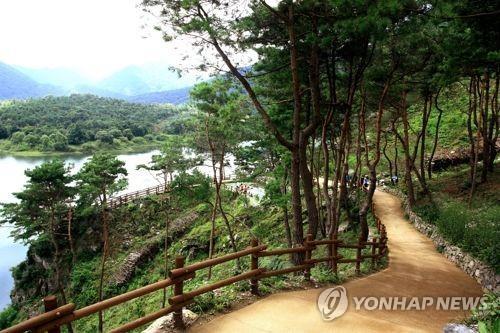 숲 이미지