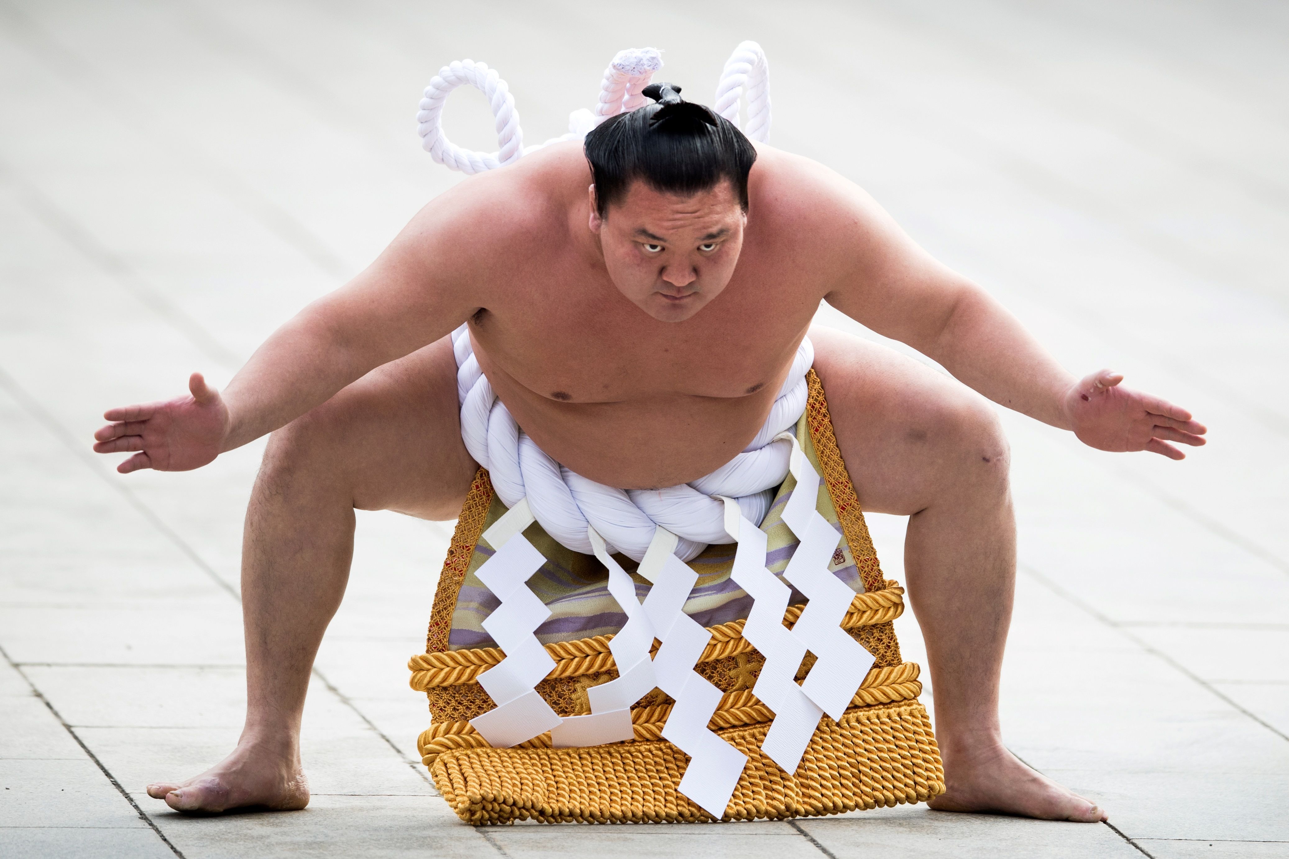 스모 이미지