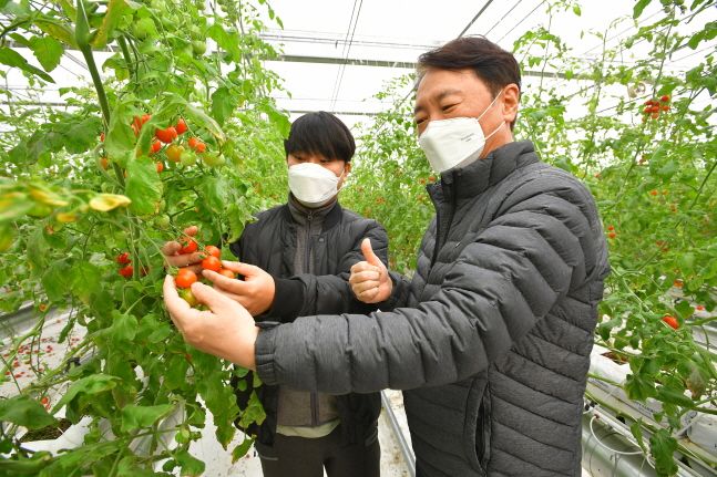 팜앤조이 이미지