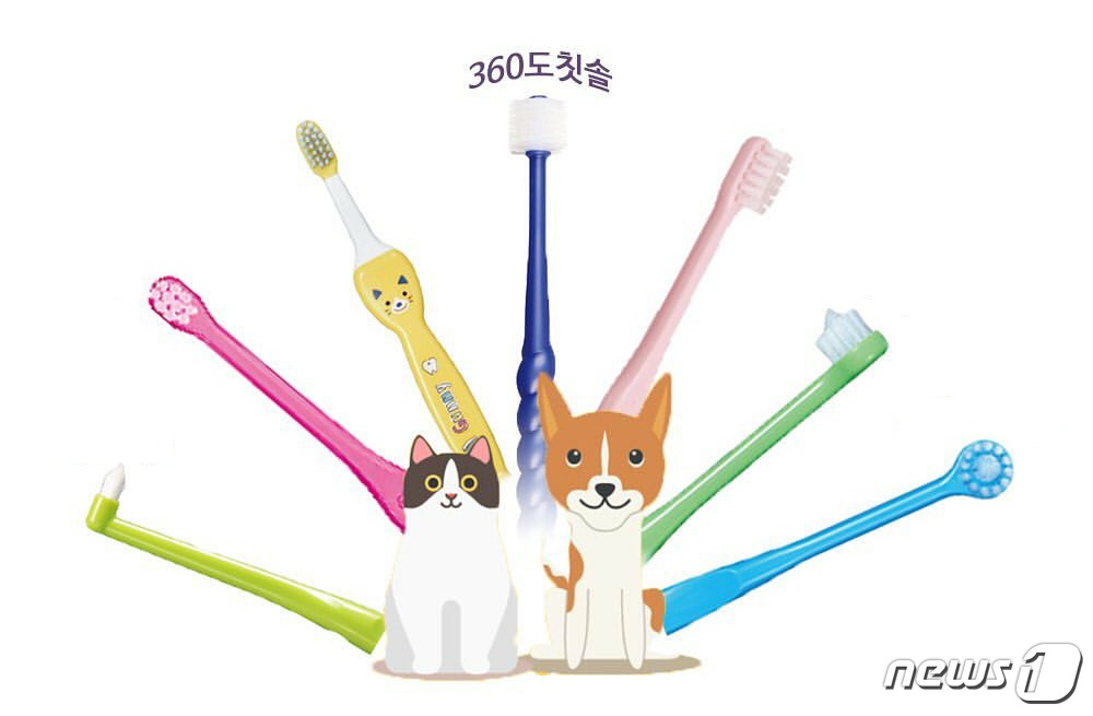 앤제이커뮤니케이션 이미지
