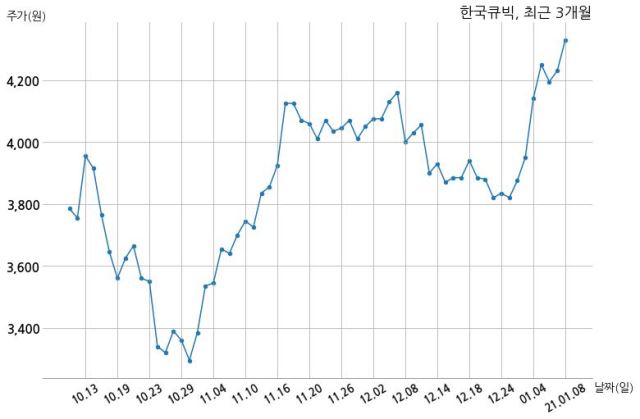 (주)한국큐빅 이미지