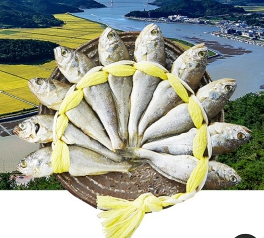 영광 이미지