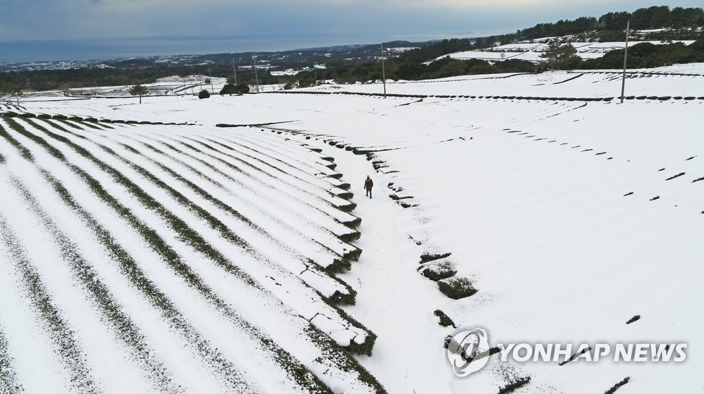 이루다제주 이미지