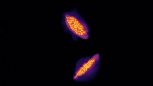 두 은하가 충돌하고 합쳐지는 모습을 담은 컴퓨터 시뮬레이션. 이 과정에서 다량의 가스가 방출되는 것으로 알려졌다. (사진= Jeremy Fensch, et al)