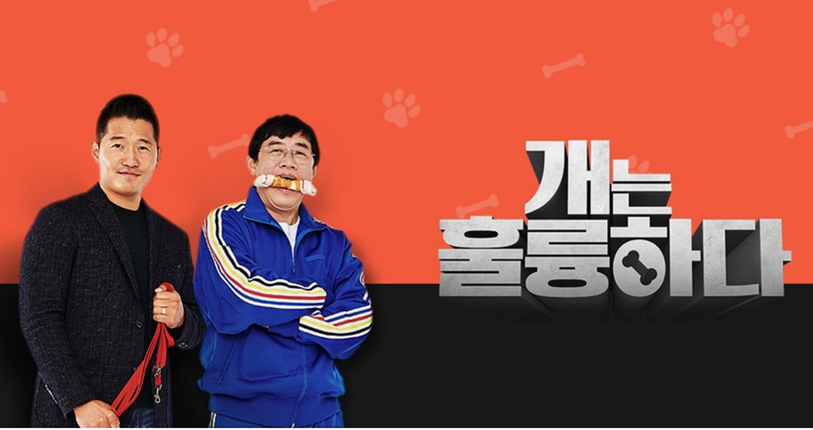 케이비에스미디어(주) 이미지