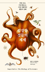 매슈포유 이미지