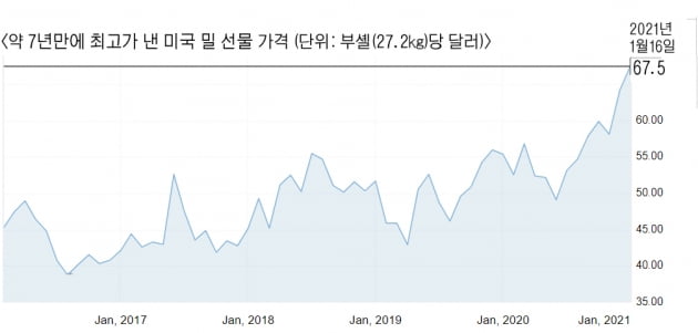 국제식탁 이미지