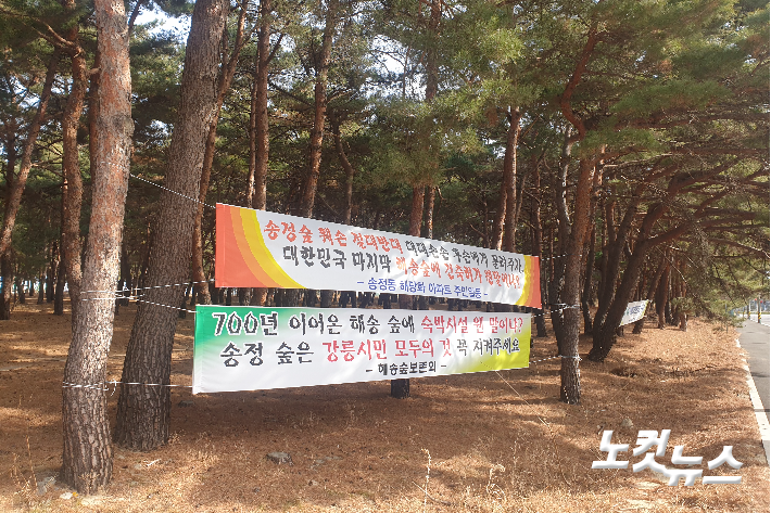 해송개발 이미지