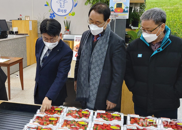 김포파주 인삼농협 하나로 마트 이미지