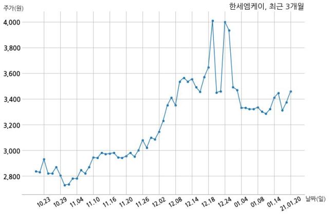 한세엠케이 주식회사 이미지