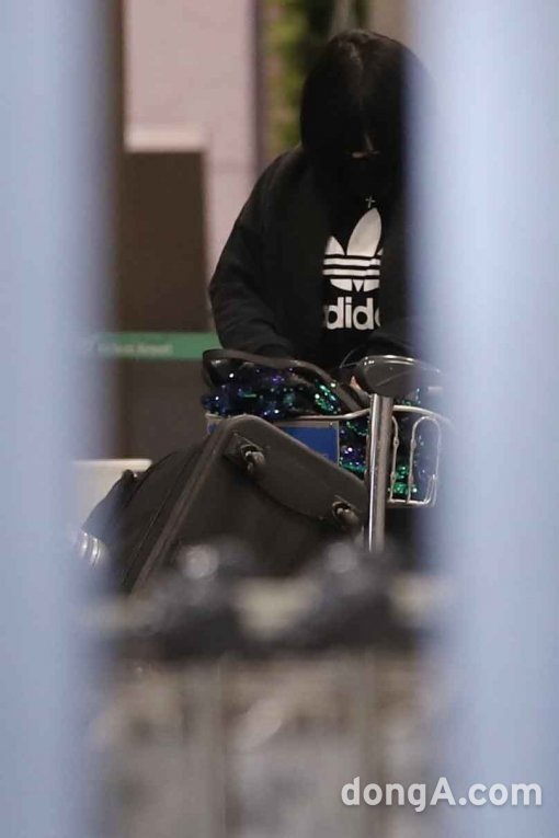 에이미 이미지