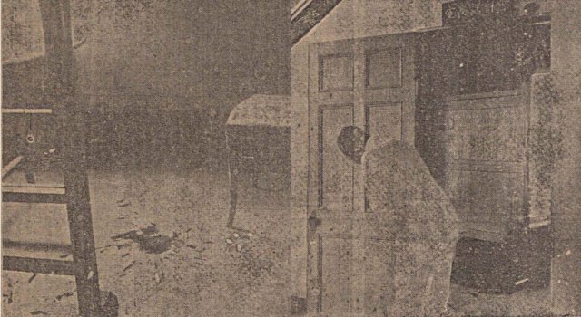 플레시피 이미지