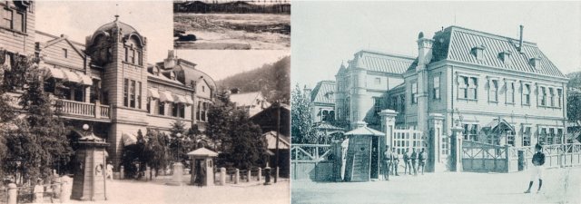 플레시피 이미지