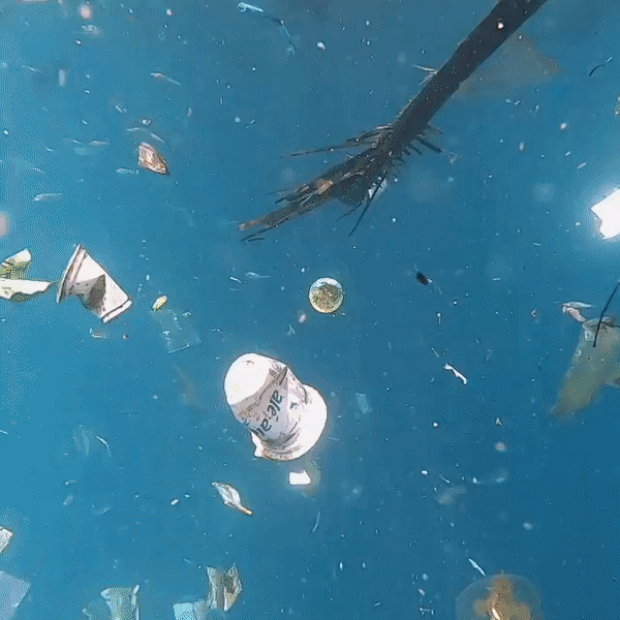 현지에서 쓰레기 수거작업 중인 사회적기업 ‘포오션’은 21일(현지시간) 발리 바닷속 상황을 공개하며 우려를 표했다.