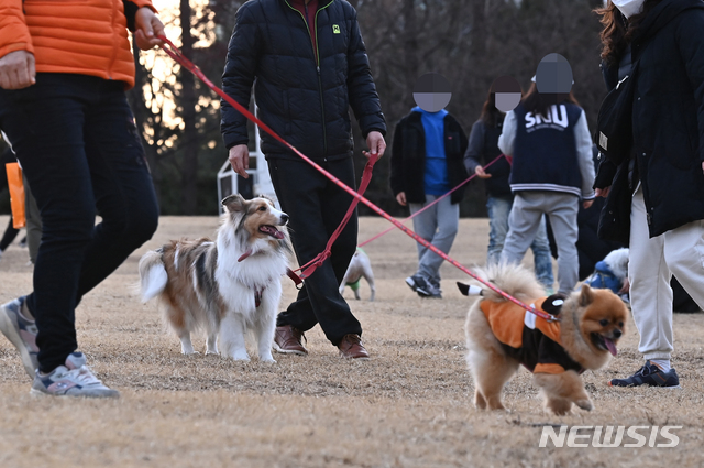 산책 이미지
