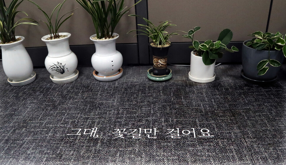 꽃길만걸어요 이미지