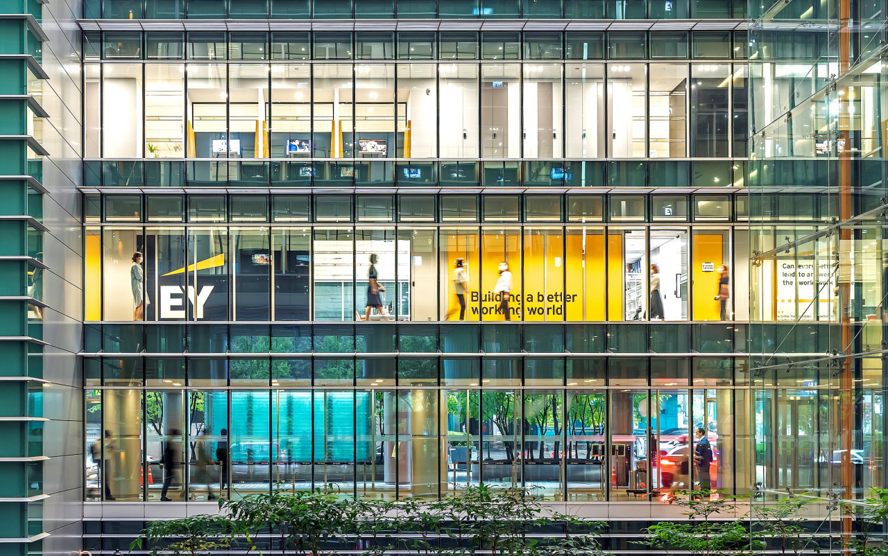 ey 이미지