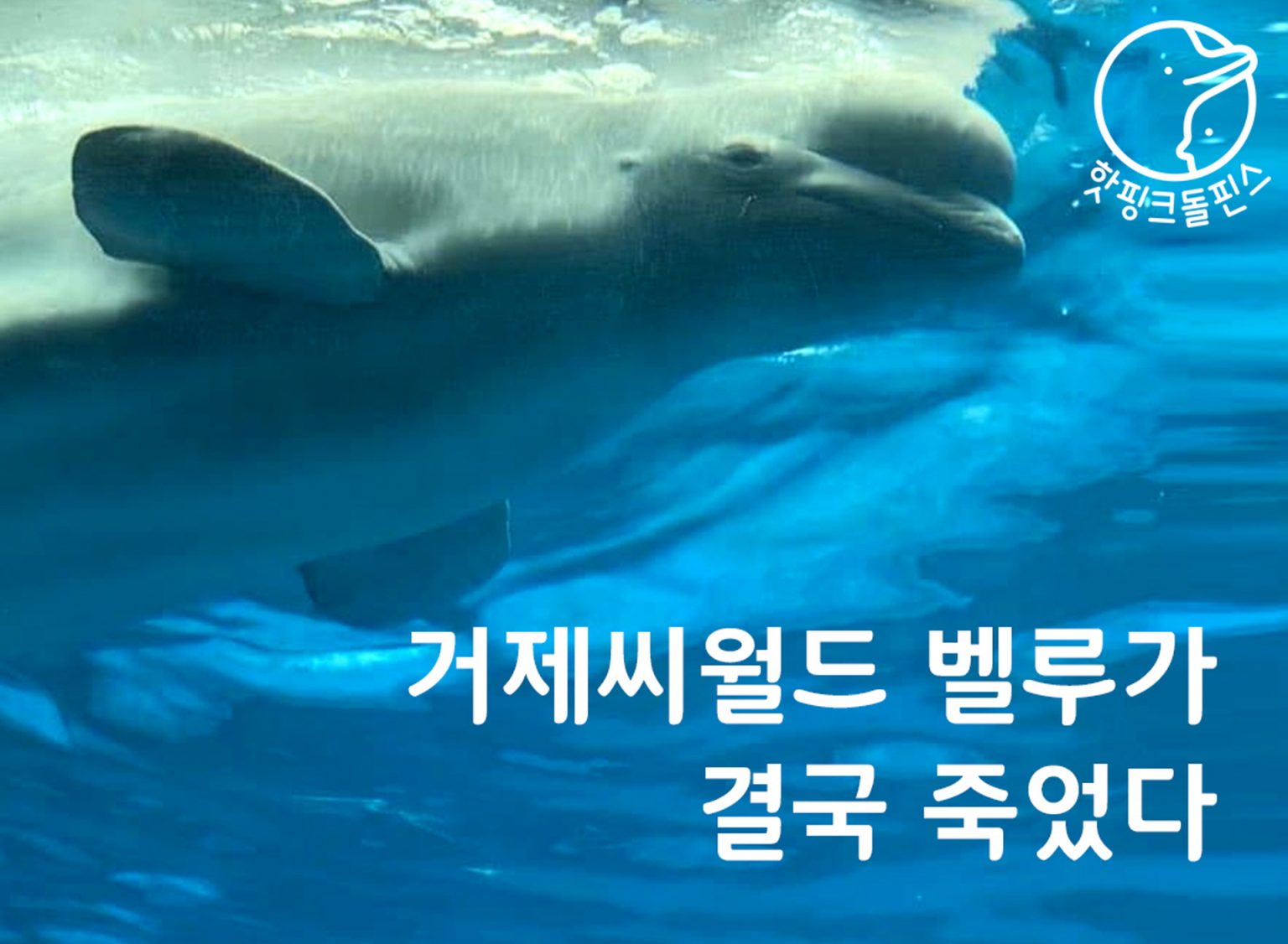 씨월드 이미지