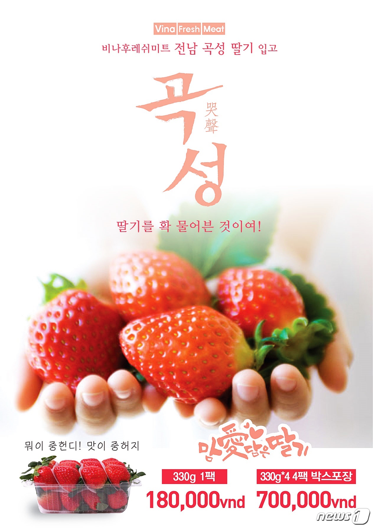 농업회사법인 주식회사 담은 이미지