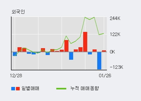 로체시스템즈(주)() 이미지