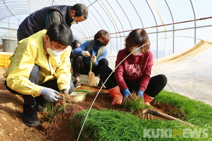 서산옛날생강한과 이미지