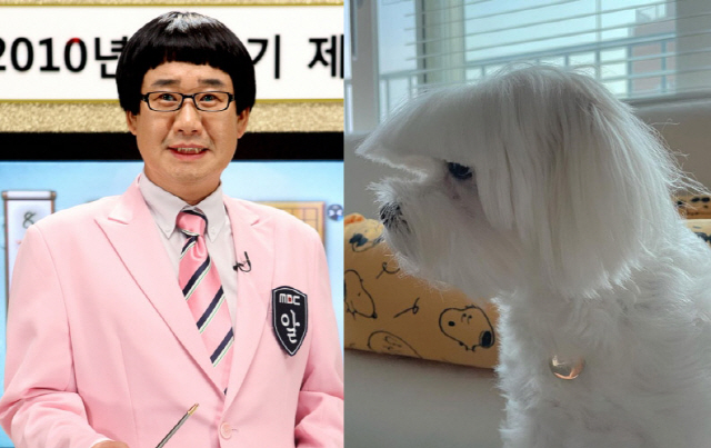 아이비 이미지