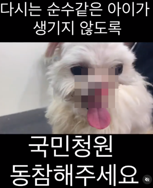 순수 이미지