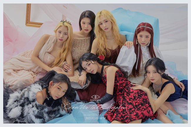 퍼플 이미지