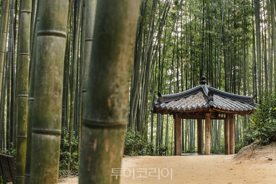 죽녹원봉황루 이미지