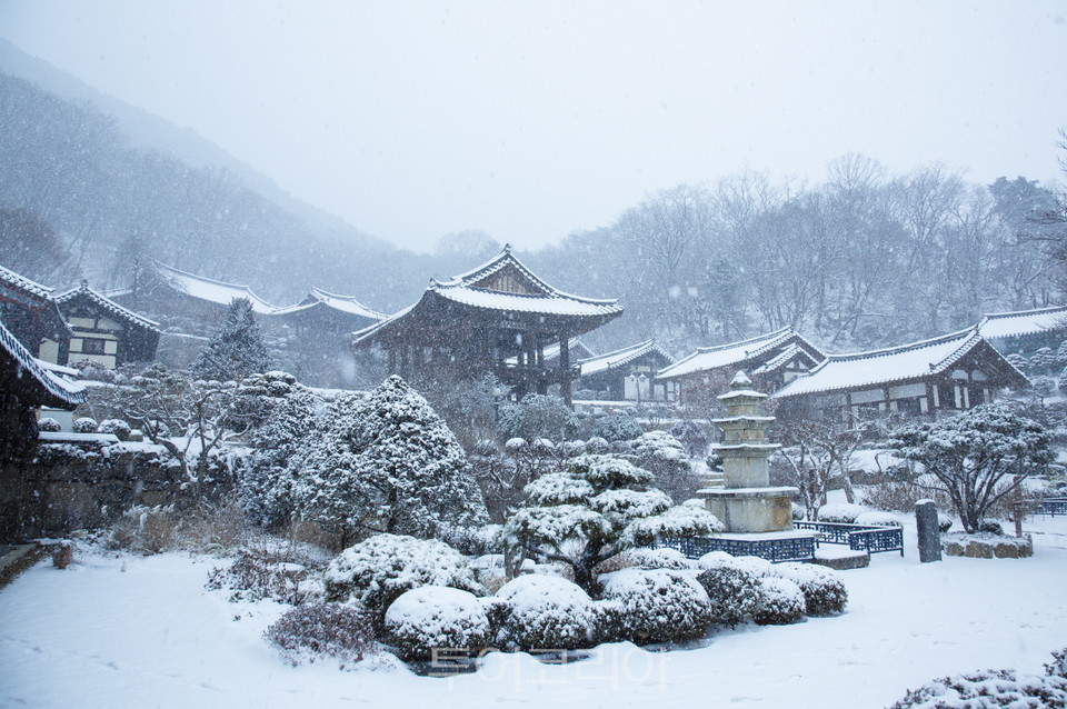영주 이미지