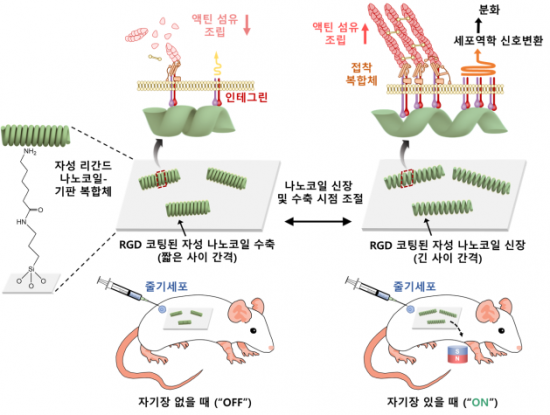나노정보시스템 이미지