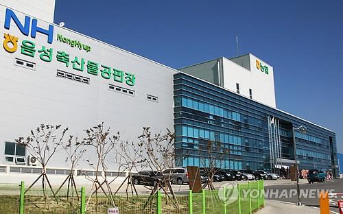 농협음성축산물공판장 이미지