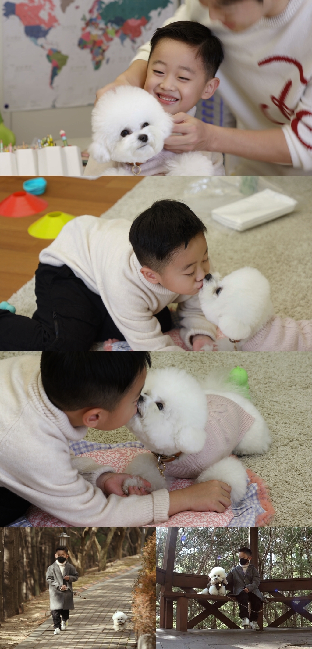 스위트케미 이미지