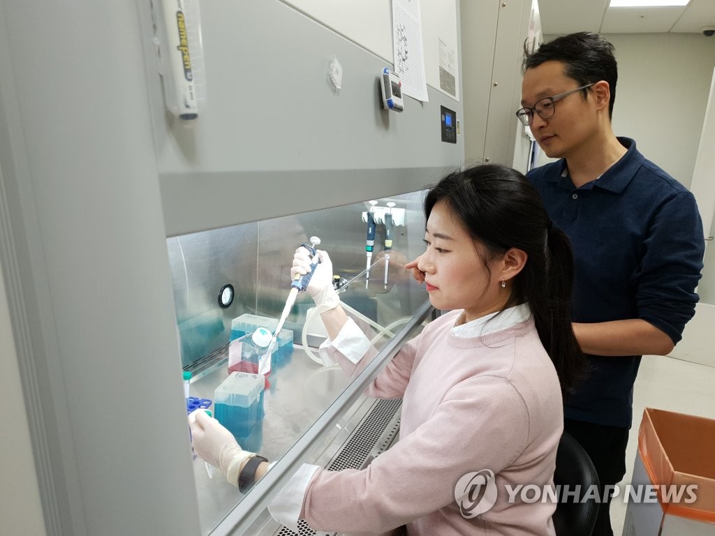 시점시스템 이미지