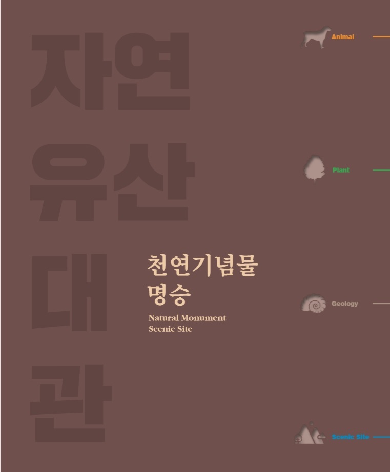 수 자연 이미지