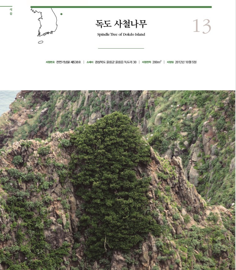 수 자연 이미지